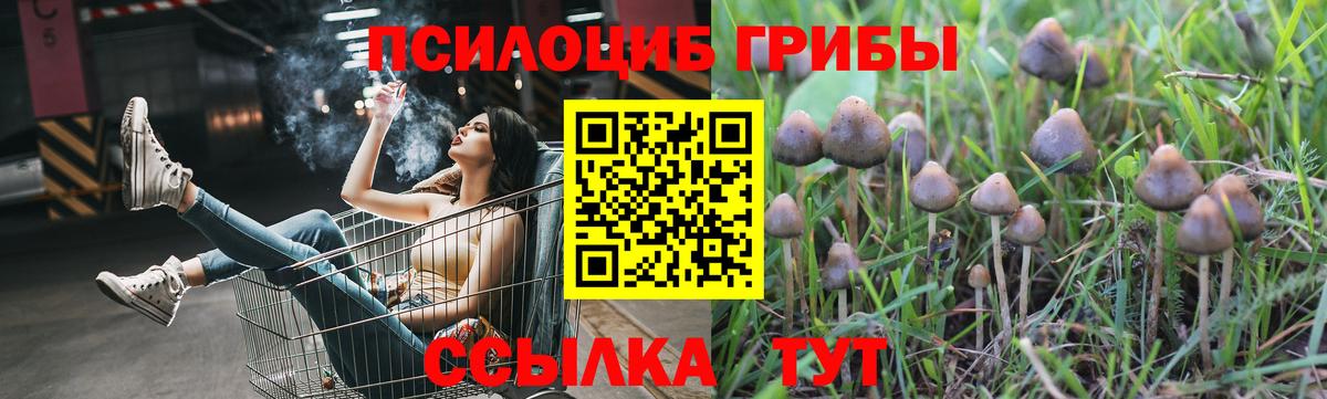 Псилоцибиновые грибы мицелий Великий Новгород