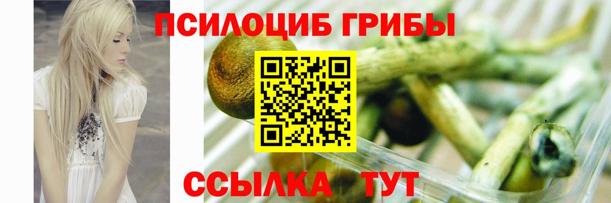 Великий Новгород  Галлюциногенные грибы прущие грибы  Вход с VPN 